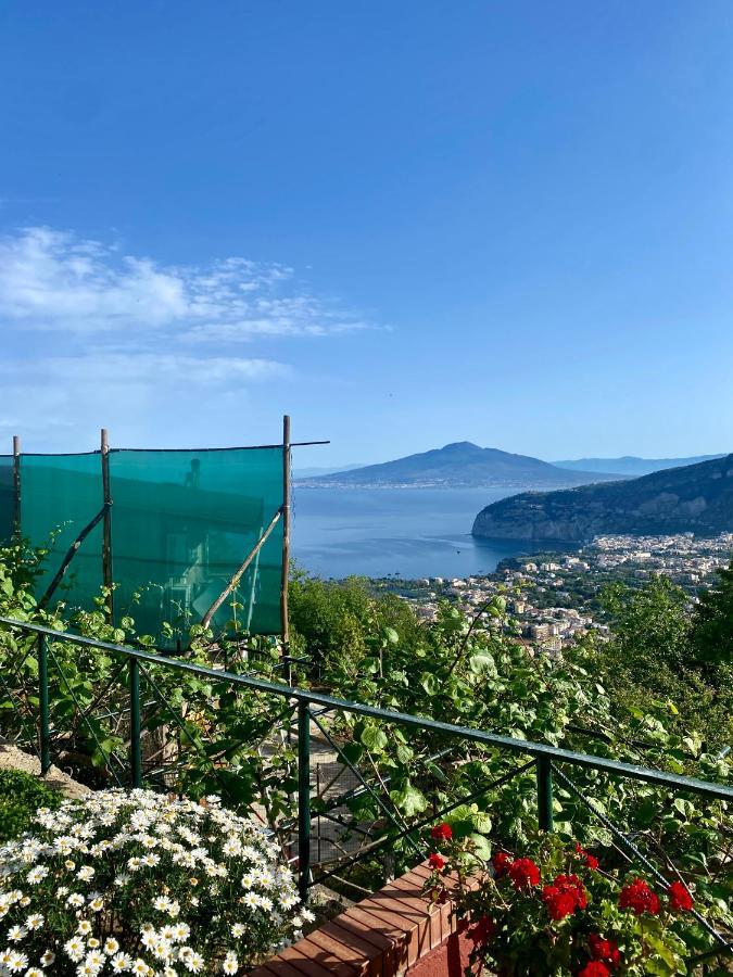 Villa Monica B&B Sorrento Ngoại thất bức ảnh