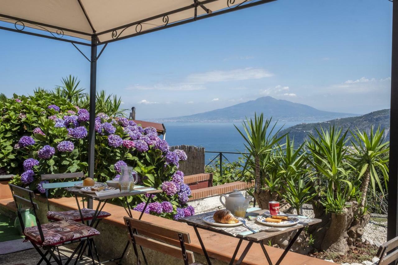 Villa Monica B&B Sorrento Ngoại thất bức ảnh